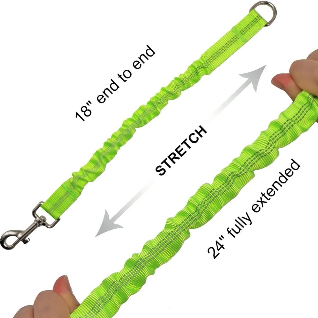 Dog safety harness