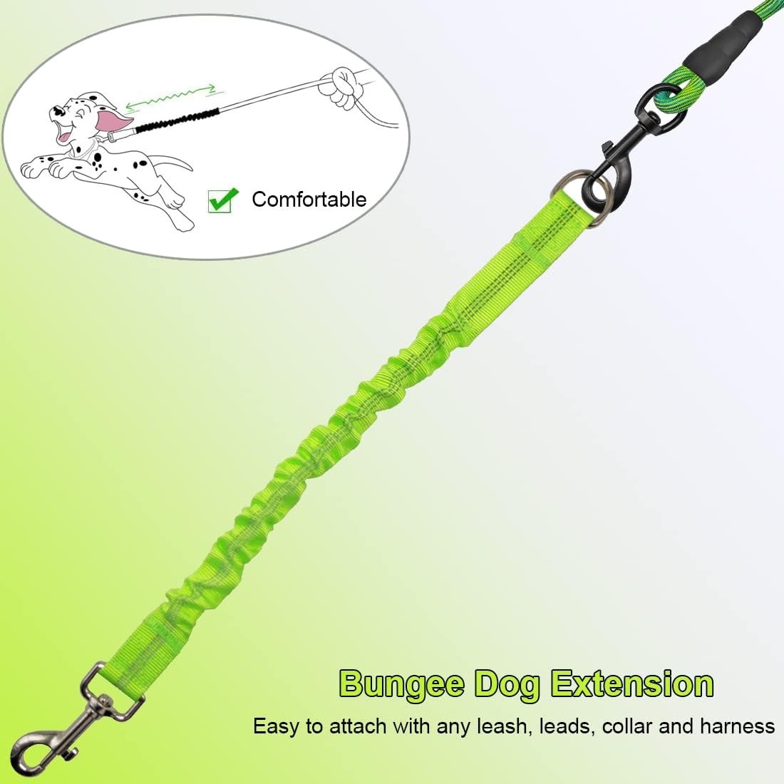 Dog safety harness