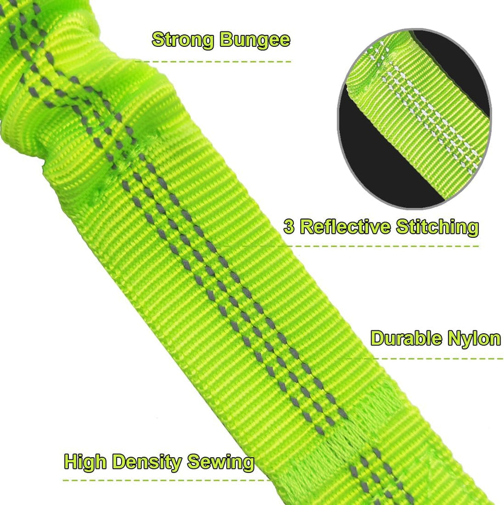 Dog safety harness