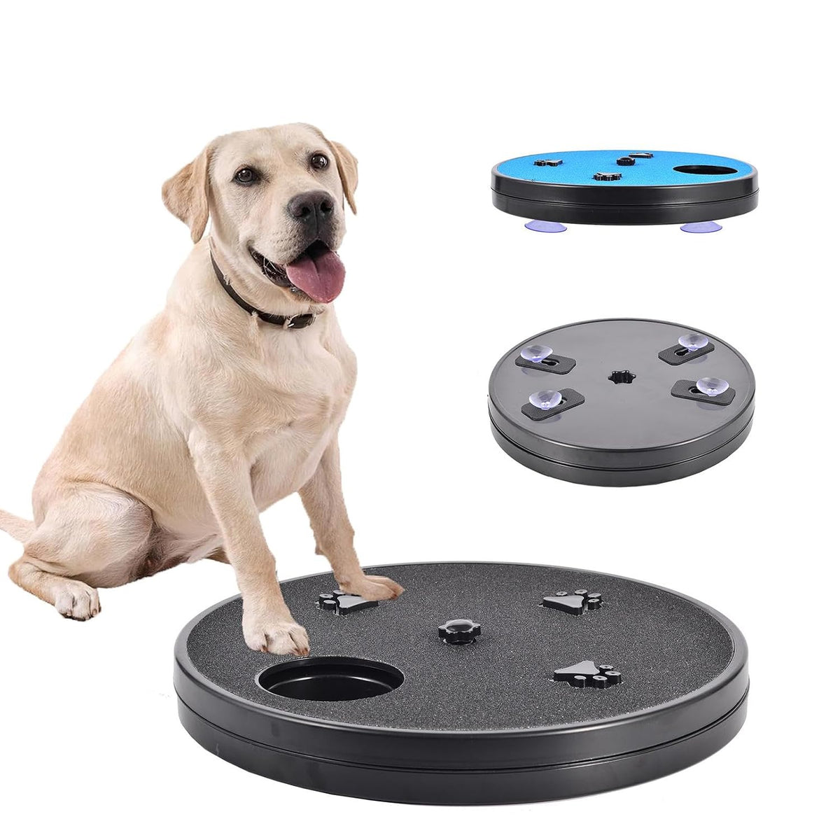 Dog Nail Scratcher