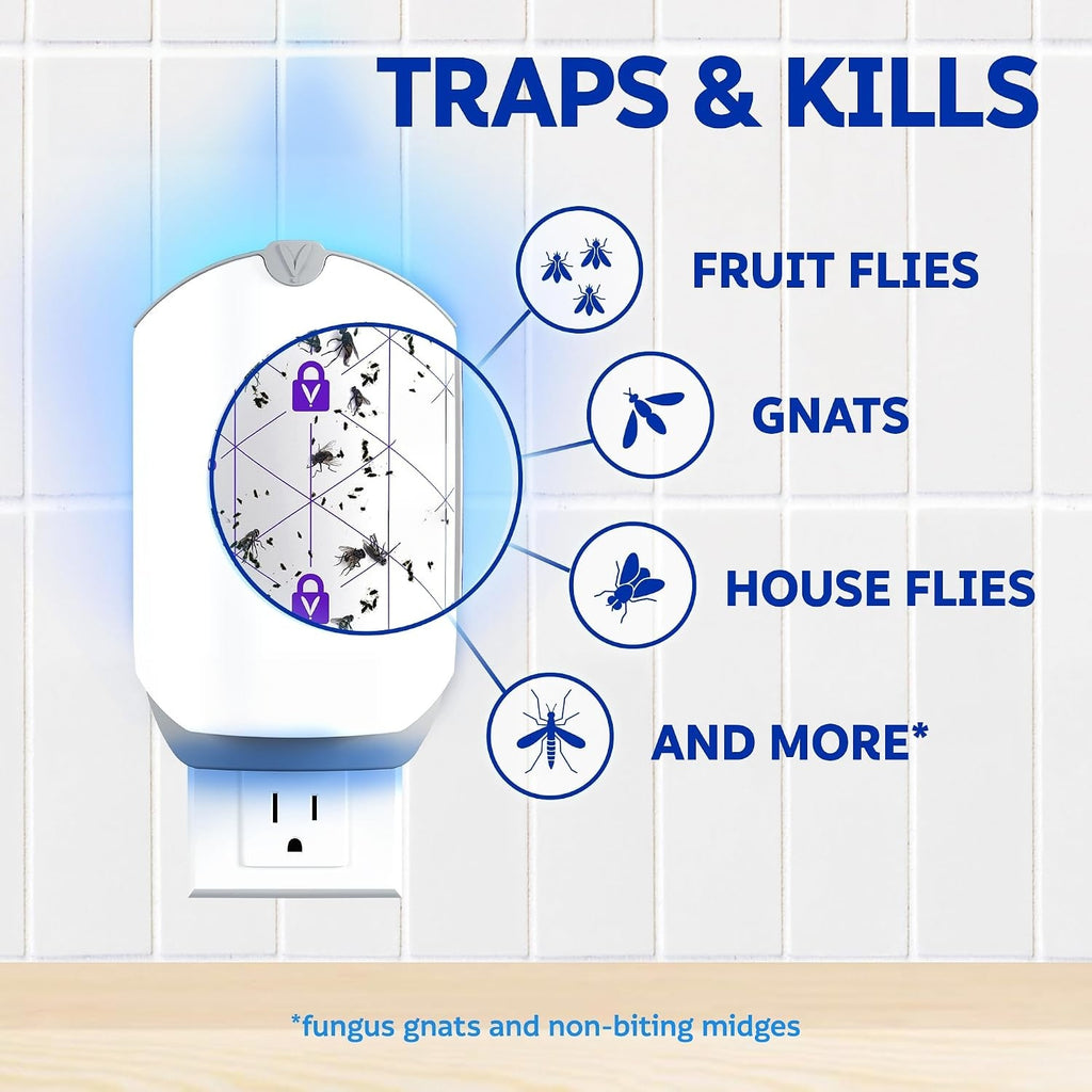 Fruit fly and gnat trap