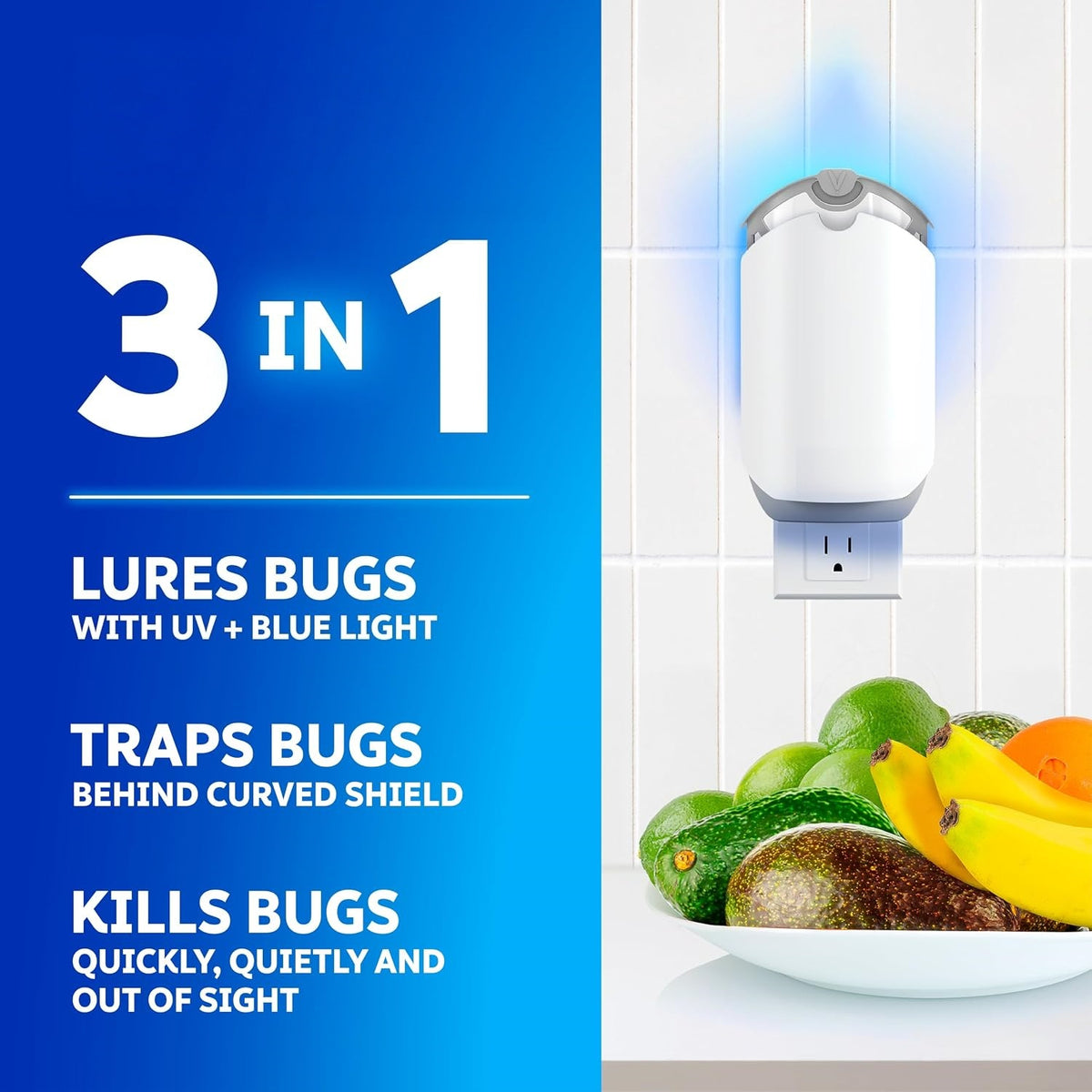 Fruit fly and gnat trap
