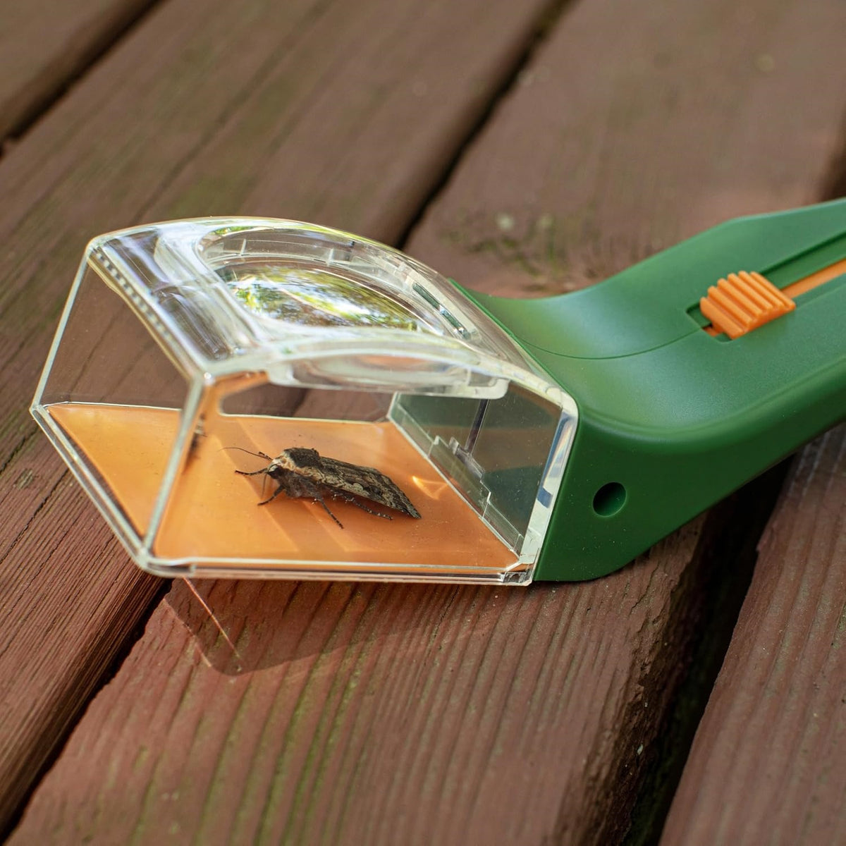 Magnifying glass quick-release insect trapping tool