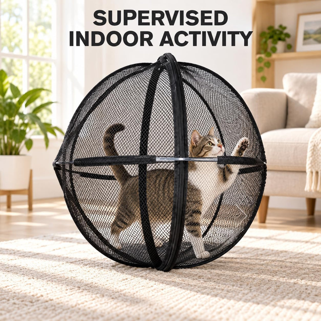 360° panoramic rollable cat game enclosure