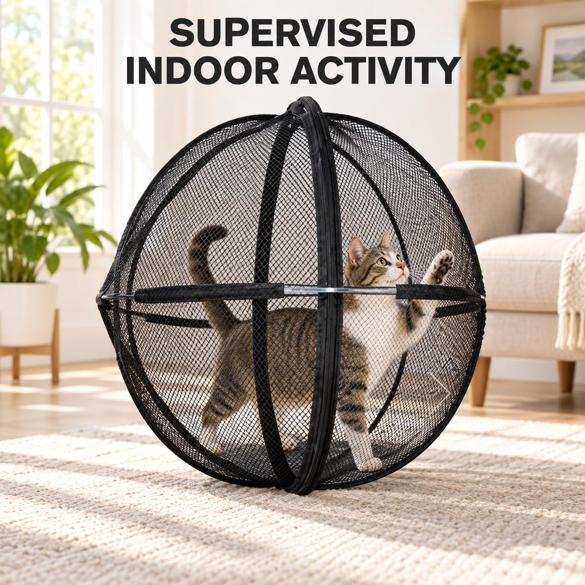 360° panoramic rollable cat game enclosure