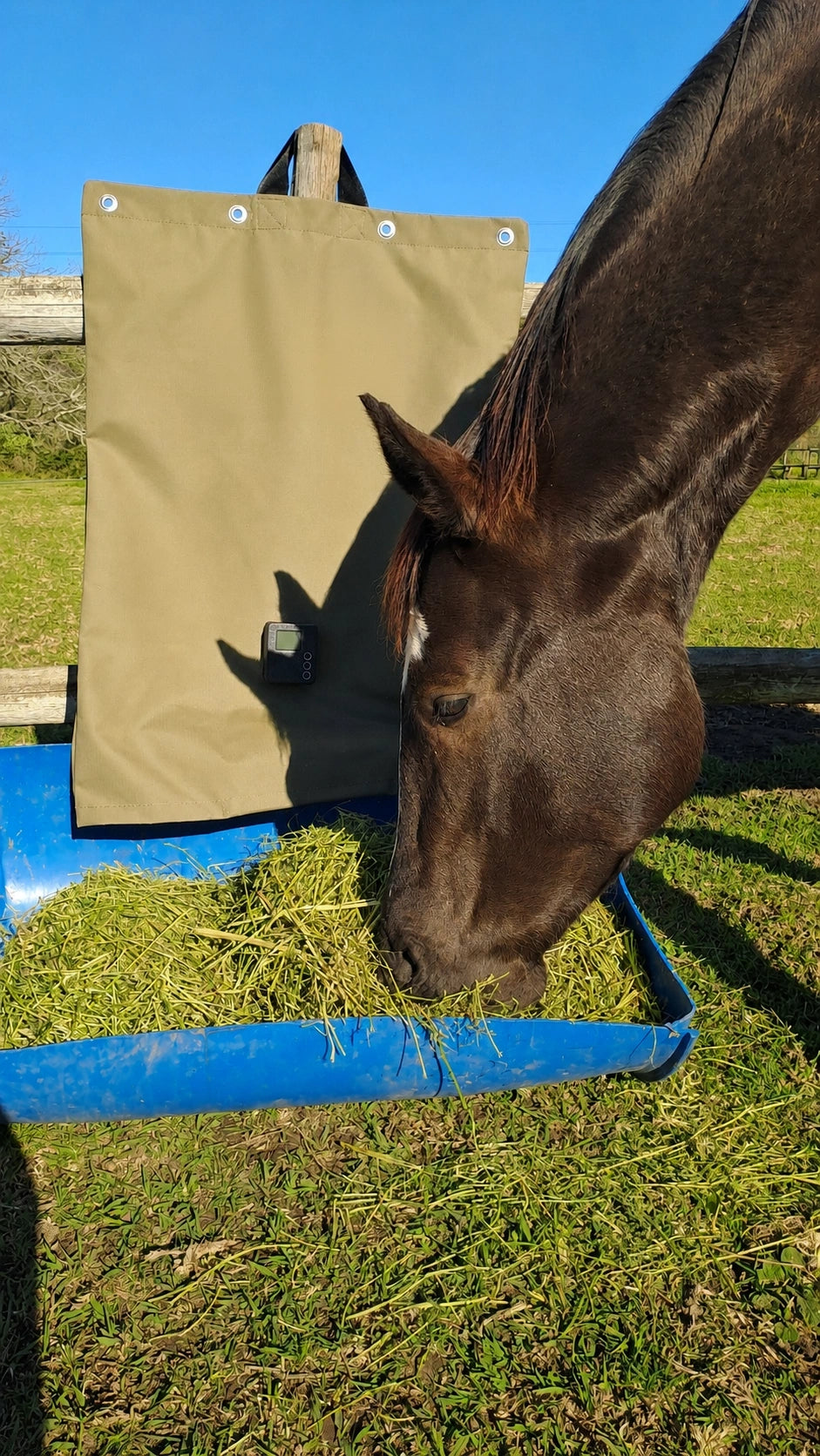 Horse Hay Feeder