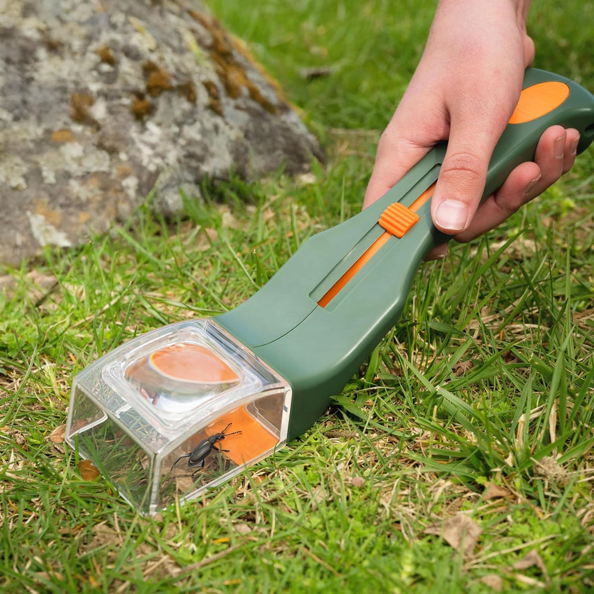Magnifying glass quick-release insect trapping tool