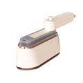 High-powered steam iron with large capacity
