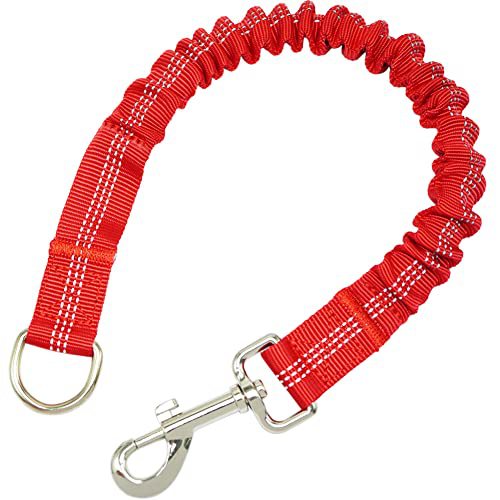 Dog safety harness