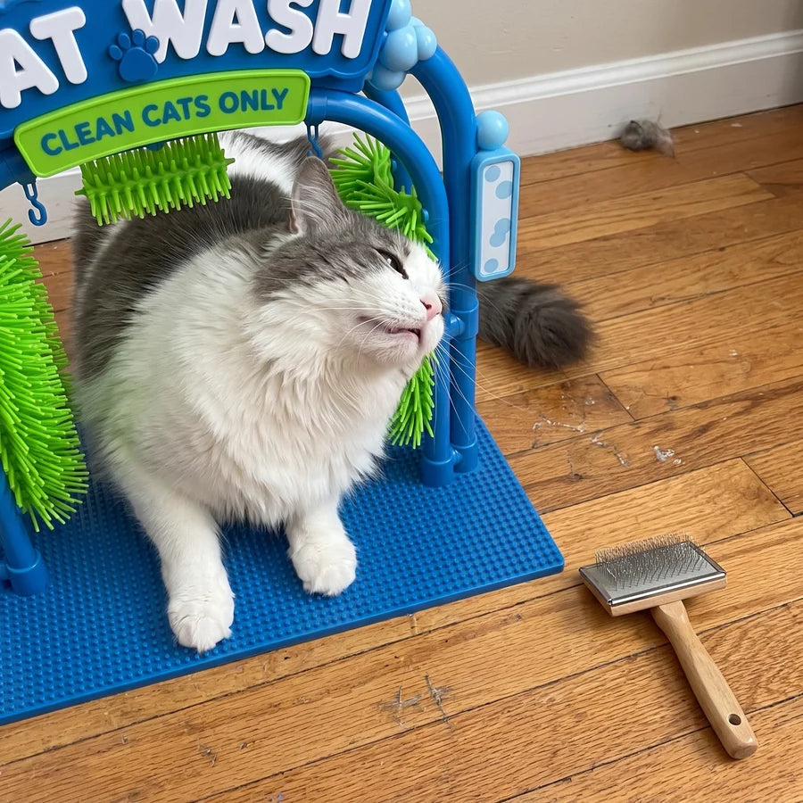 Cat Grooming Tools
